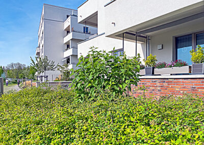 Borntalbogen