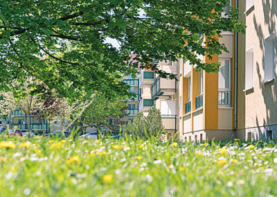 Zu Hause in der Borntal Erfurt
